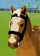 Roblox Horse Valley How To Breed