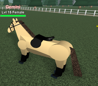 Black Tack Set Horse Valley Wikia Fandom - black horse roblox