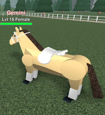 White Tack Set Horse Valley Wikia Fandom - white polo roblox