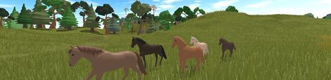 Horse World Wiki Fandom - roblox horse world game