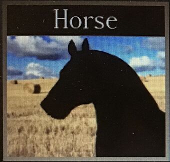 Horse World Wiki Fandom - horses in the back roblox id