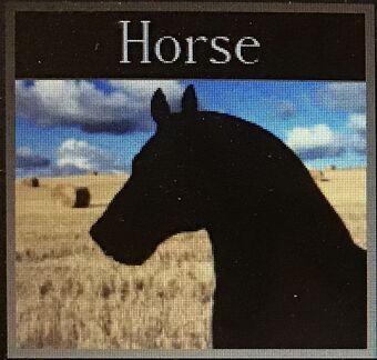 Horse World Wiki Fandom - horse world wiki fandom roblox horse world unicorn gamepass roblox free no sign in Horse World Wiki Fandom - roblox horse world unicorn gamepass roblox free no sign in