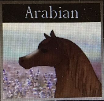 Arabian Horse World Wiki Fandom - how to get a gamepass on roblox horse world