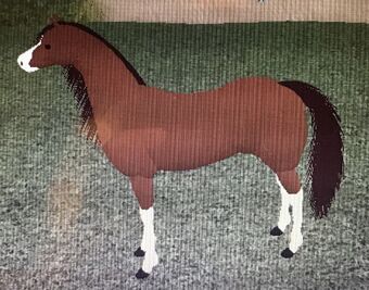 Arabian Horse World Wiki Fandom - horse world roblox dragon horse wings