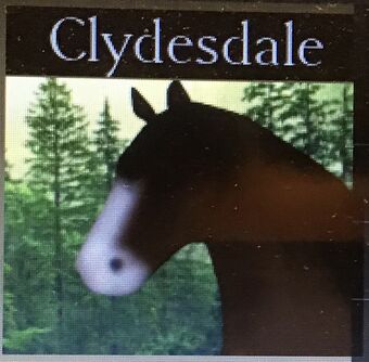 Horse World Wiki Fandom