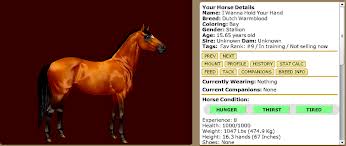 Bay horse