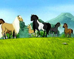 Herd