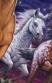 9780545397179 p0 v1 s260x420-1