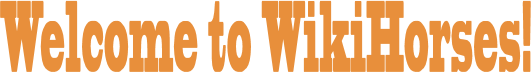 Welcome-horses