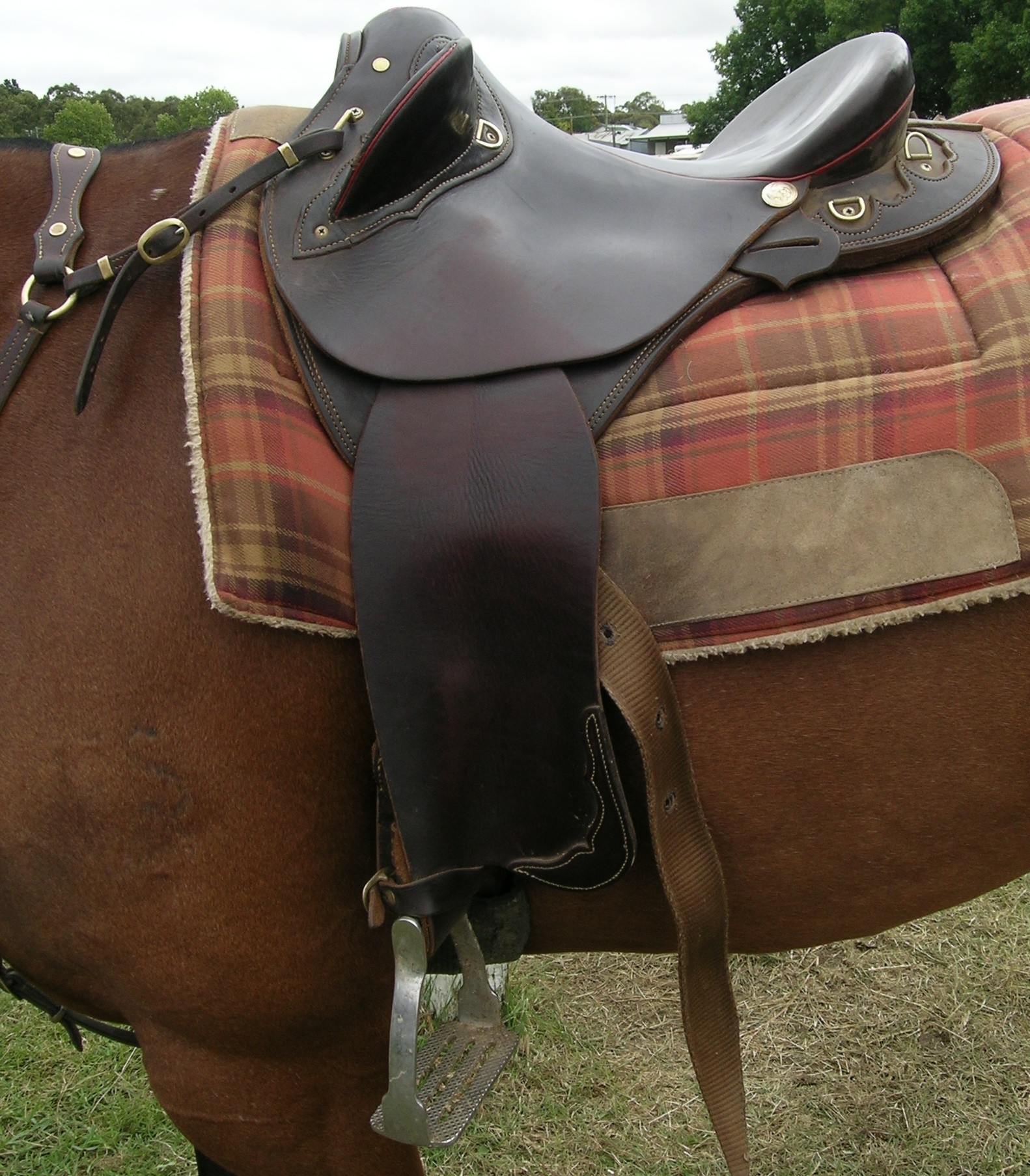 australian endurance saddle australian endurance saddle