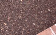 Compost.mulch