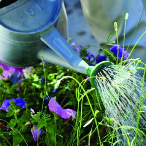 Gardening