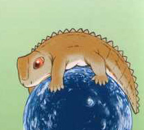 Lizard