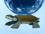 Turtle2