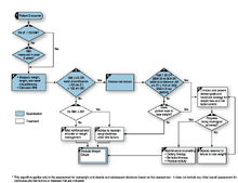 Assessment and treatment algorithm for overweight and obesity