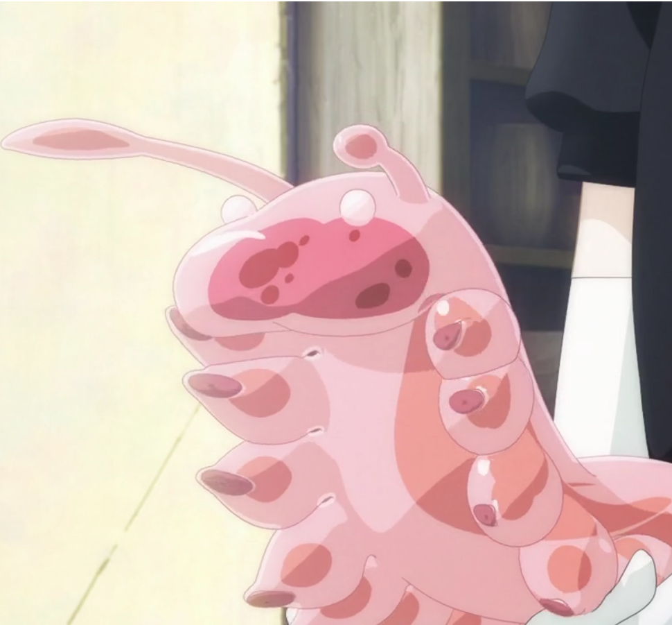 Ventricosus | Houseki no Kuni Wiki | FANDOM powered by Wikia
