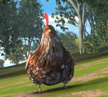 Poulet2