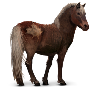 Pony island the breeding game Pony island the breeding game