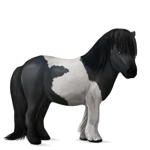 latest?cb=20131228181443