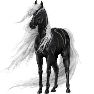 Image - Golden Apple Lusitano.png | Howrse Wiki | FANDOM powered by Wikia