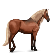 Purebred Spanish Horse | Howrse Wiki | Fandom