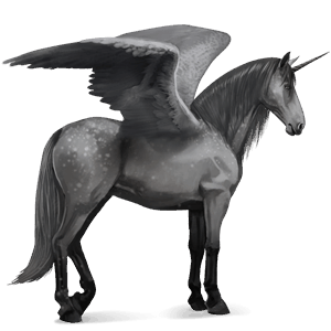 Lusitano Howrse Wiki Fandom