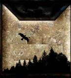 Forestclan