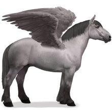Percheron Pegasus Grau
