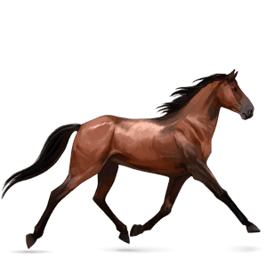 HowrseTraberRotbruau+