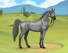 Treg9s3qxxirw-1-