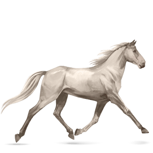 HowrseTraberCremello