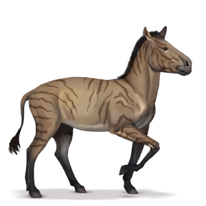 Hipparion