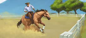 Reining-0