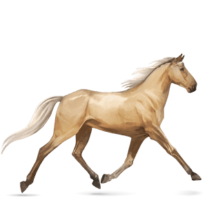 HowrseTraberPalomino