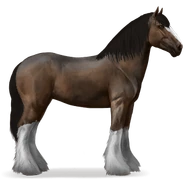 Shire Horse | Howrse-Wiki | FANDOM powered by Wikia