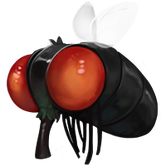 Fliege