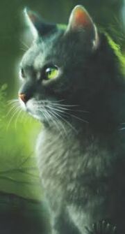 Images (12)