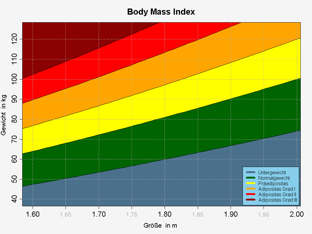 Body-Mass-Index berechnen | HowTo-Wiki | FANDOM powered by ...