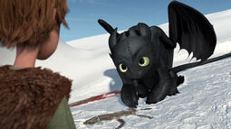 Gift-night-fury-disneyscreencaps.com-2411