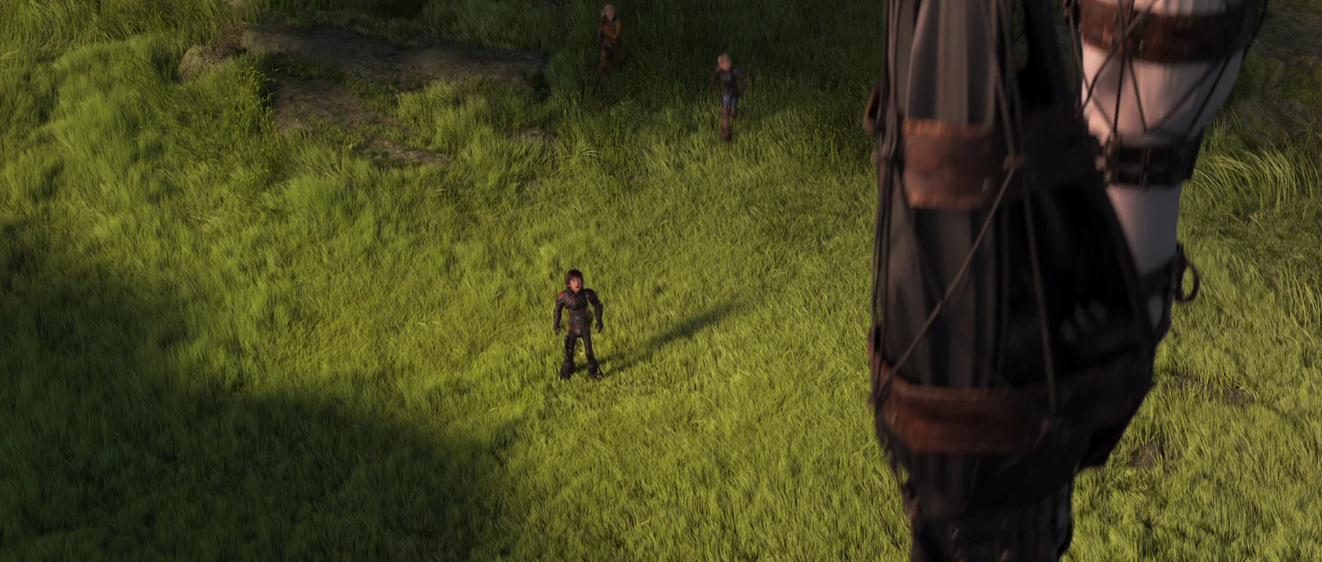 Image Light Fury and Toothless, captured.JPG How to Train Your