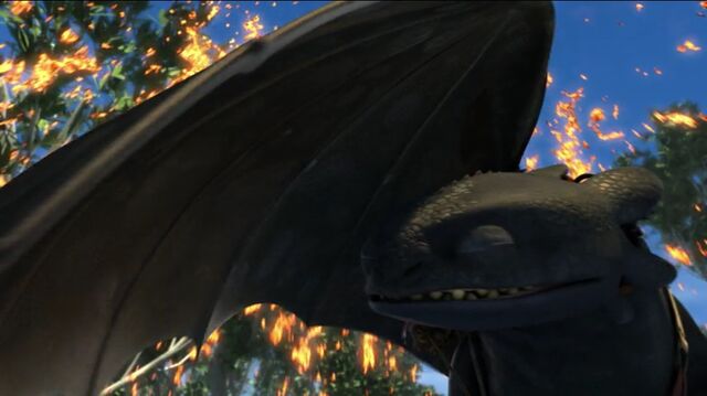 File:Toothless(86).jpg