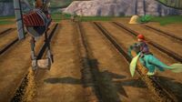 MM - Seeds being dumped onto the soil