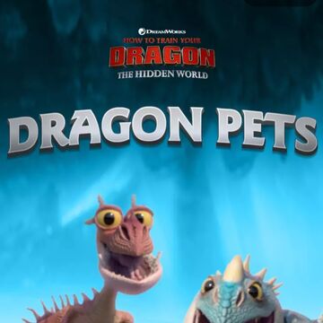 Dragon Pets How To Train Your Dragon Wiki Fandom