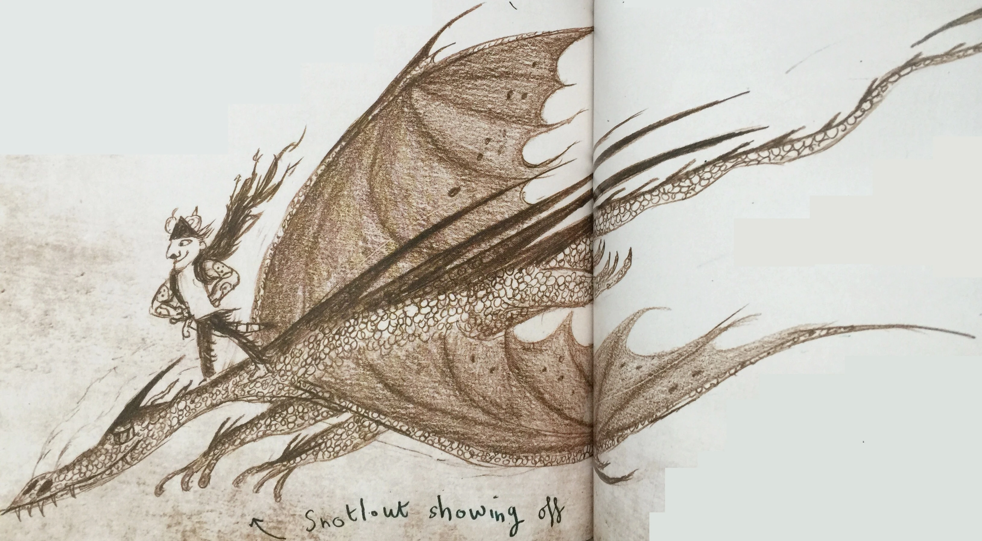 Devilish Dervish (Books) | How to Train Your Dragon Wiki | Fandom