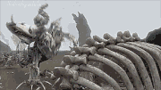 Bones