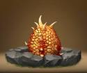 Fireworm Egg