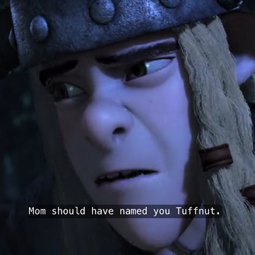 The Twins Mother How To Train Your Dragon Wiki Fandom