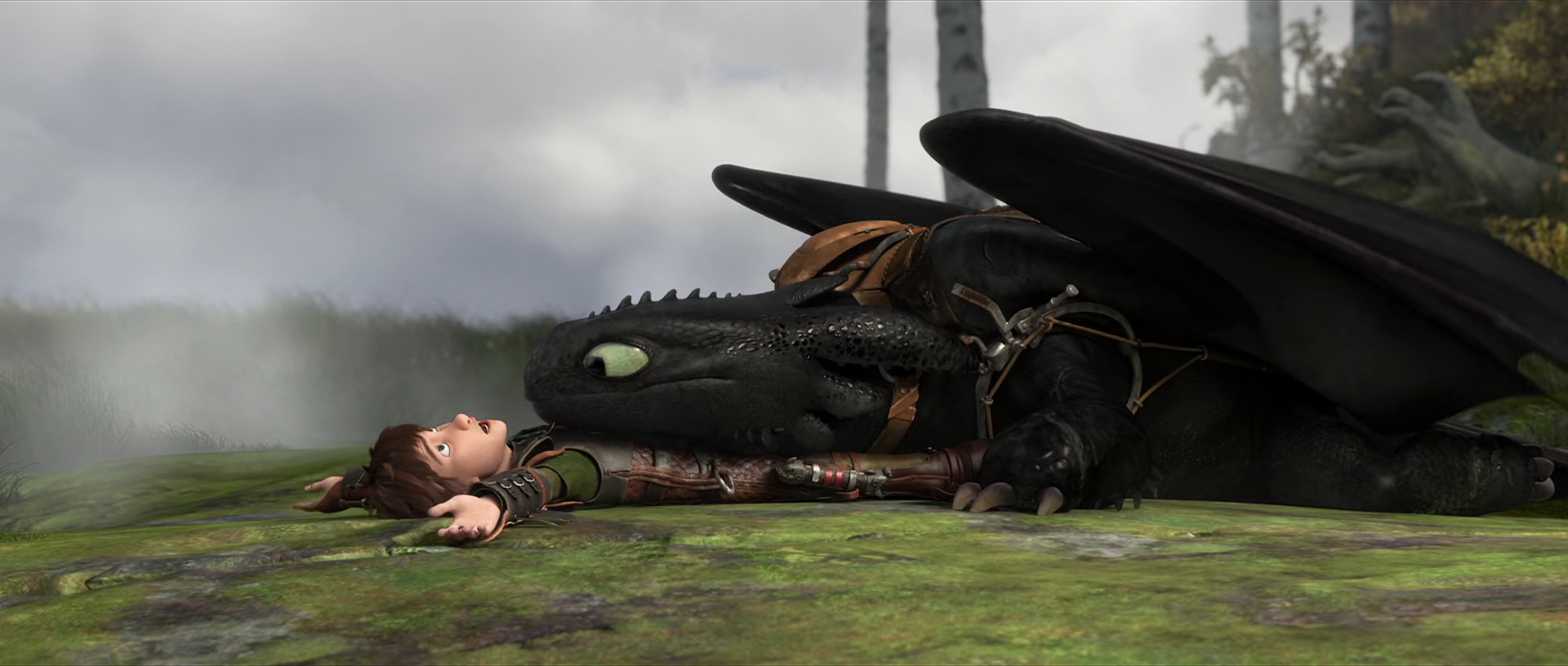 Hiccup And Toothless Relationship How To Train Your Dragon Wiki