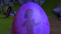 DoubleFinked-152-AxelsShadowOnEgg