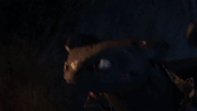 Slitherwing's Stamina